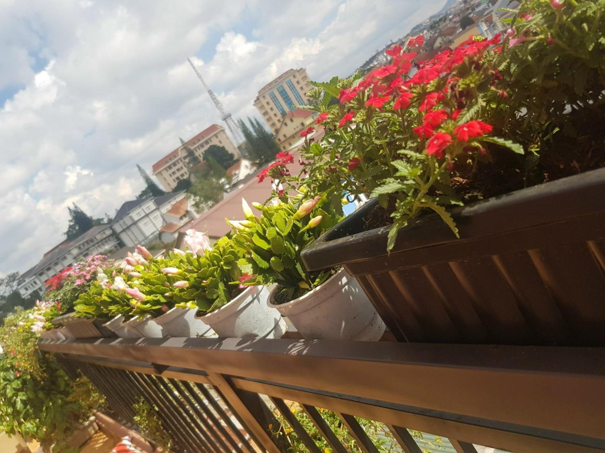 Ngoc Tran Hotel Да Лат Екстериор снимка